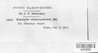 Image Associated With the Occurence